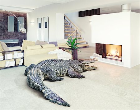 Big crocodile relax in the luxury interior (photo and cg elements combination) Stock Photo - Budget Royalty-Free & Subscription, Code: 400-07719719