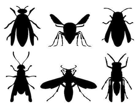 simsearch:400-04909471,k - Black silhouettes of wasps, vector Photographie de stock - Aubaine LD & Abonnement, Code: 400-07712994