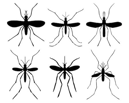 Black silhouettes of mosquito, vector Stock Photo - Budget Royalty-Free & Subscription, Code: 400-07712991