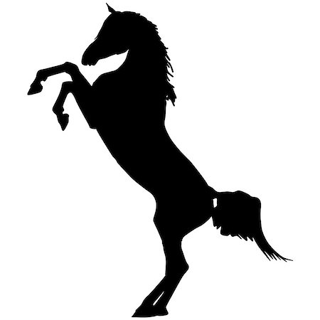 black horse silhouette Stock Photo - Budget Royalty-Free & Subscription, Code: 400-07713045