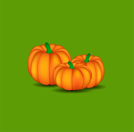 pumpkin garden - Orange Pumpkin on Green Background Vector Illustration. EPS10 Stock Photo - Budget Royalty-Free & Subscription, Code: 400-07728358
