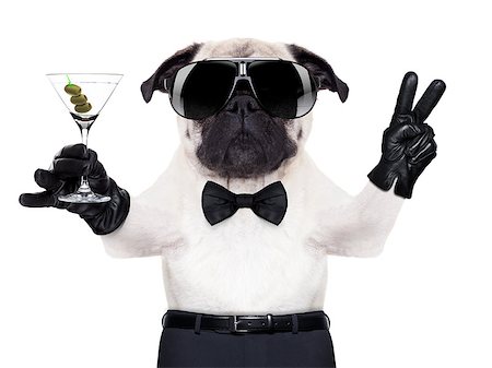 simsearch:400-07822392,k - cool pug dog with martini glass and peace or victory fingers, Foto de stock - Super Valor sin royalties y Suscripción, Código: 400-07728624