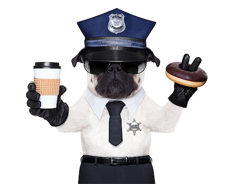 POLICE DOG ON DUTY WITH coffee to go and a donut or Doughnut Stock Photo - Budget Royalty-Free & Subscription, Code: 400-07728628