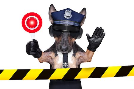 funny animal progression - POLICE DOG ON DUTY WITH coffee to go and a donut or Doughnut, isolated on white blank background on a site under construction Stock Photo - Budget Royalty-Free & Subscription, Code: 400-07729327