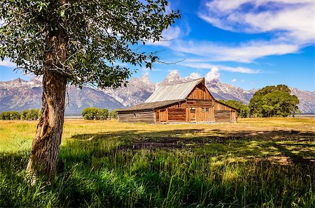 Scenic view of Grand Teton with old wooden farm and tree, Wyoming, USA Stock Photo - Budget Royalty-Free & Subscription, Code: 400-07729804