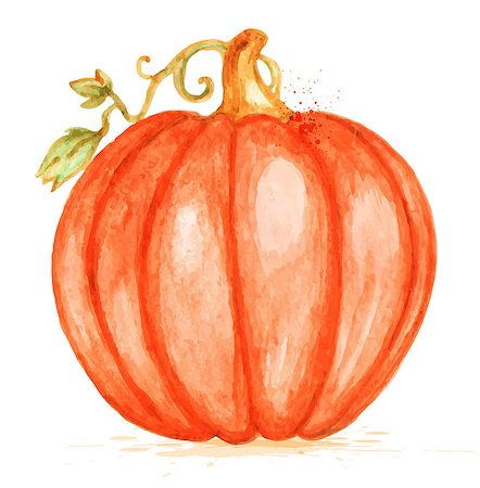 pumpkin garden - Watercolor vector orange pumpkin on a white background Stock Photo - Budget Royalty-Free & Subscription, Code: 400-07729817