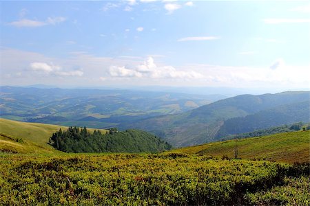 View on the Carpathian mountains in Ukraine Stockbilder - Microstock & Abonnement, Bildnummer: 400-07720580