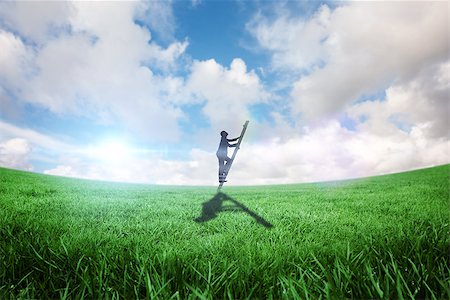 person climbing ladder shadow - Businessman climbing up ladder against green field under blue sky Stock Photo - Budget Royalty-Free & Subscription, Code: 400-07720724