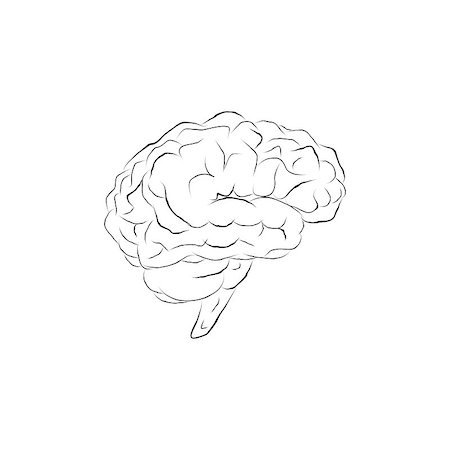 Isolated human brain sketch. Doodle human brain Stock Photo - Budget Royalty-Free & Subscription, Code: 400-07745279