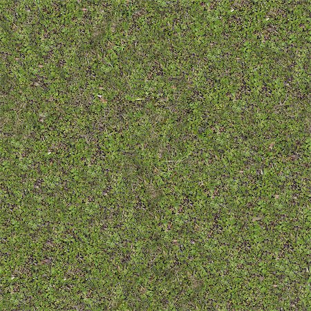 Green Meadow Grass in Early Spring. Seamless Tileable Texture. Stock Photo - Budget Royalty-Free & Subscription, Code: 400-07745334