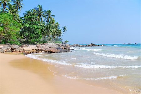 studio023 (artist) - beach with coconut palm trees, blue sea and relaxation Stockbilder - Microstock & Abonnement, Bildnummer: 400-07745694