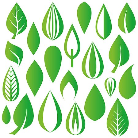 simsearch:400-09121794,k - Set of various vector green leaves design elements Stock Photo - Budget Royalty-Free & Subscription, Code: 400-07746618