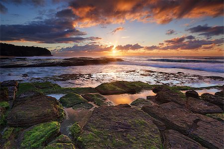 Sunrise from Turrimetta Beach, Sydney Stock Photo - Budget Royalty-Free & Subscription, Code: 400-07747126