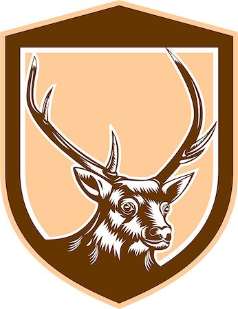 simsearch:400-08620286,k - Illustration of a stag deer buck head set inside shield crest on isolated background done in retro woodcut style. Foto de stock - Super Valor sin royalties y Suscripción, Código: 400-07747640