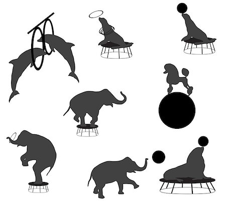 ringed seal - Collection of silhouettes of animals in circus show Stock Photo - Budget Royalty-Free & Subscription, Code: 400-07747805