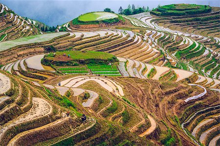 simsearch:862-03351790,k - Village of Longsheng in Guangxi Province, China. Stock Photo - Budget Royalty-Free & Subscription, Code: 400-07748051