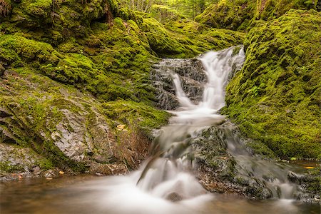 Small waterfall in the park (Dickson Falls, Fundy National Park,New Brunswick, Canada) Foto de stock - Super Valor sin royalties y Suscripción, Código: 400-07748319
