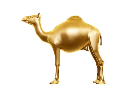 golden camel stands isolated on white background Stock Photo - Budget Royalty-Free & Subscription, Code: 400-07749227