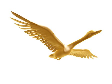 golden wild goose flight isolated on white background Photographie de stock - Aubaine LD & Abonnement, Code: 400-07749772