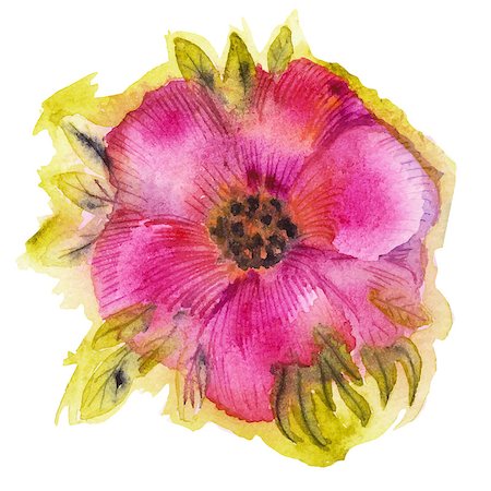 simsearch:400-07680595,k - Watercolor flower. Vector illustration. Foto de stock - Royalty-Free Super Valor e Assinatura, Número: 400-07754502