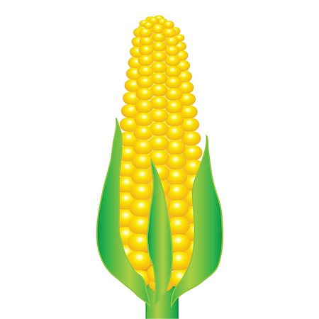 simsearch:846-03164472,k - colorful illustration with an ear of corn on a white background Stock Photo - Budget Royalty-Free & Subscription, Code: 400-07754724
