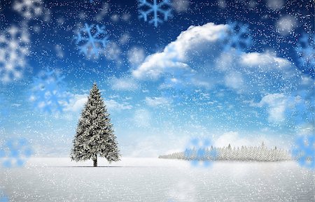 simsearch:400-07755560,k - Composite image of fir trees in snowy landscape with snow falling Stock Photo - Budget Royalty-Free & Subscription, Code: 400-07755269