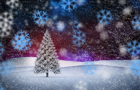 simsearch:400-07755560,k - Composite image of fir trees in snowy landscape with snow falling Stock Photo - Budget Royalty-Free & Subscription, Code: 400-07755275