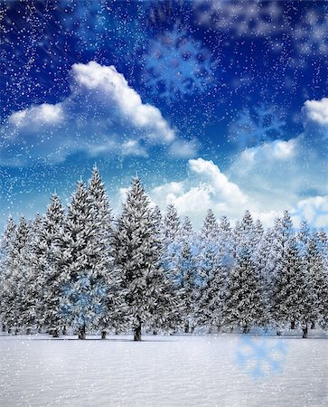 simsearch:400-07755560,k - Snowflakes against fir tree forest in snowy landscape Stock Photo - Budget Royalty-Free & Subscription, Code: 400-07755464