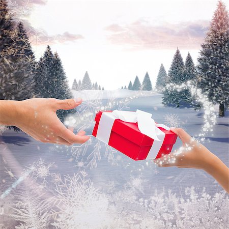 simsearch:400-07755560,k - Couple passing a wrapped gift against snowy landscape with fir trees Stock Photo - Budget Royalty-Free & Subscription, Code: 400-07755514