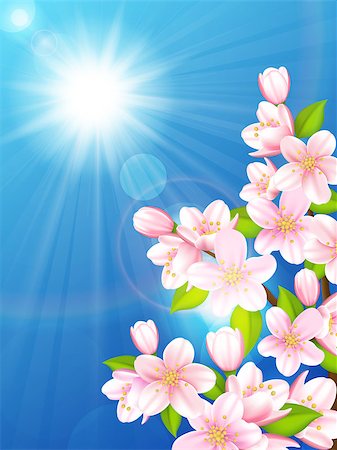 simsearch:400-07758113,k - Vector illustration blooming cherry trees on background of the blue sky Foto de stock - Super Valor sin royalties y Suscripción, Código: 400-07758057