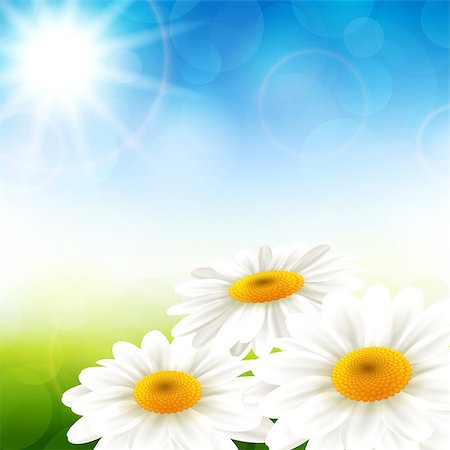 simsearch:400-07758113,k - Vector illustration of summer flowers with a beautiful background Foto de stock - Super Valor sin royalties y Suscripción, Código: 400-07758114