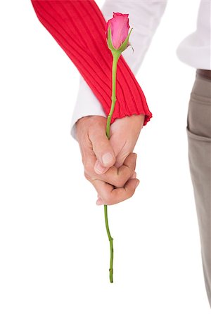 Close up of hands holding rose over white background Stock Photo - Budget Royalty-Free & Subscription, Code: 400-07750731