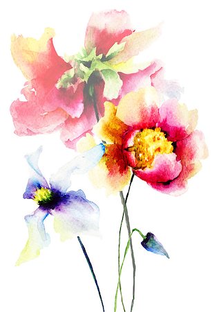 peony art - Original Summer flowers, watercolor illustration Stock Photo - Budget Royalty-Free & Subscription, Code: 400-07769872