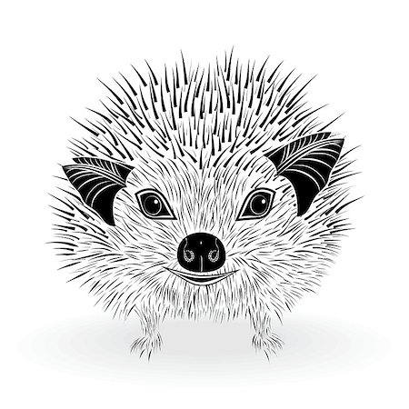 simsearch:400-07278599,k - hedgehog head vector animal illustration for t-shirt. Sketch tattoo design. Stockbilder - Microstock & Abonnement, Bildnummer: 400-07775176