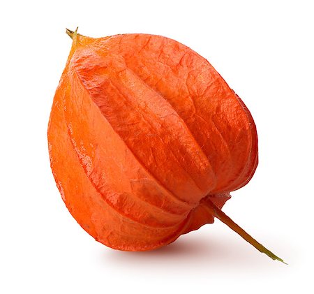 Orange physalis isolated on a white background Foto de stock - Super Valor sin royalties y Suscripción, Código: 400-07775807