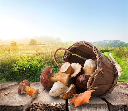 simsearch:400-07932789,k - Mushrooms in a basket on wooden table Stock Photo - Budget Royalty-Free & Subscription, Code: 400-07775828