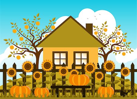 pumpkin home garden - vector pumpkins and sunflowers along picket fence, Adobe Illustrator 8 format Stock Photo - Budget Royalty-Free & Subscription, Code: 400-07776757