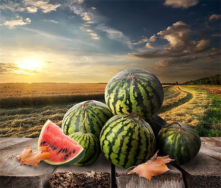 simsearch:400-07776749,k - Watermelons on a table and evening landscape Foto de stock - Super Valor sin royalties y Suscripción, Código: 400-07776751