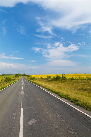 simsearch:400-07524978,k - Road through the yellow sunflower field in sunny day Photographie de stock - Aubaine LD & Abonnement, Code: 400-07776959