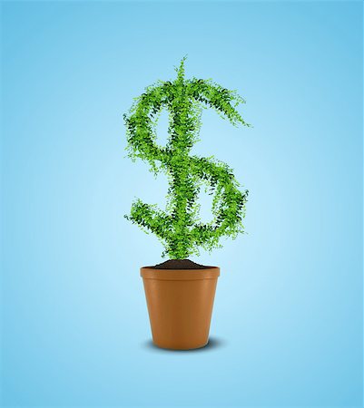 dollar sign with plants - Dollar tree in plant pot. Wealth concept Stock Photo - Budget Royalty-Free & Subscription, Code: 400-07779429