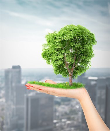 future protections to earth - Eco concept. Hand of nature holding a big tree. Stock Photo - Budget Royalty-Free & Subscription, Code: 400-07779487