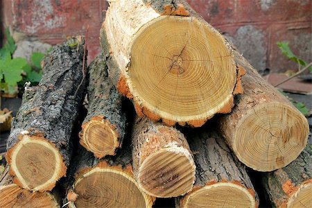 the stack of chopped fire wood close-up Stockbilder - Microstock & Abonnement, Bildnummer: 400-07779792