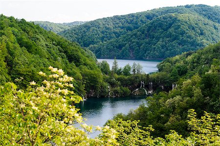 Beautiful landscape. Plitvice Lakes National Park in Croatia Stock Photo - Budget Royalty-Free & Subscription, Code: 400-07771480