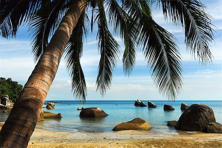 Tropical beach, Thailand Photographie de stock - Aubaine LD & Abonnement, Code: 400-07771498