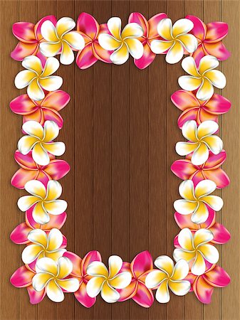 simsearch:400-08047111,k - Floral frame made from plumeria, frangipani flowers on wooden background. Stock Photo - Budget Royalty-Free & Subscription, Code: 400-07771696