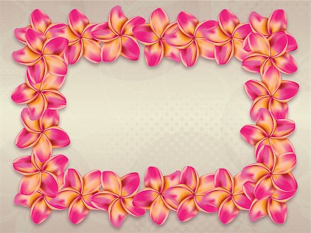 simsearch:400-08047111,k - Ping plumeria, frangipani flowers frame on abstract background. Stock Photo - Budget Royalty-Free & Subscription, Code: 400-07771714