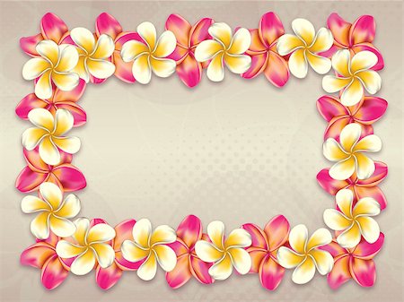 simsearch:400-08047111,k - Plumeria, frangipani flowers frame on abstract background. Stock Photo - Budget Royalty-Free & Subscription, Code: 400-07771717