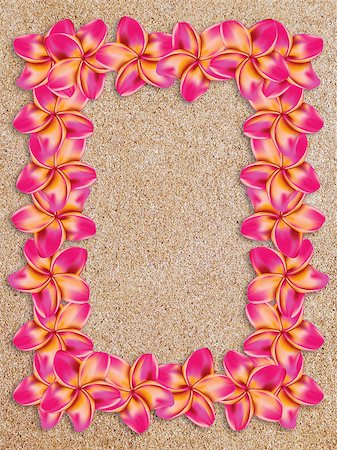 simsearch:400-08047111,k - Floral frame made from pink plumeria, frangipani flowers on sand. Stock Photo - Budget Royalty-Free & Subscription, Code: 400-07771712