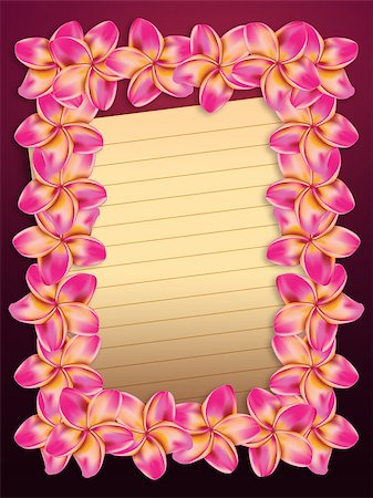 simsearch:400-05888865,k - Pink plumeria, frangipani flowers frame with yellow sheet of paper background. Foto de stock - Royalty-Free Super Valor e Assinatura, Número: 400-07771713