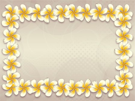 simsearch:400-05888865,k - White plumeria, frangipani flowers frame on abstract background. Foto de stock - Royalty-Free Super Valor e Assinatura, Número: 400-07771741